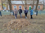IMG 20241113 132848