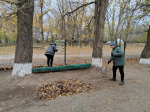IMG 20241107 144651