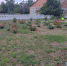 IMG 20250704 120024 - Центр соцобслуживания населения