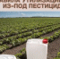 Россельхозцентр напоминает об обязательной утилизации тары из-под пестицидов - Кашарский район