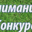 Областной открытый молодёжный конкурс малых архитектурных форм - Кашарский район