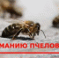 Обработка полей пестицидами - Кашарский район