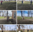 Collage 20260331 125405 - Центр соцобслуживания населения